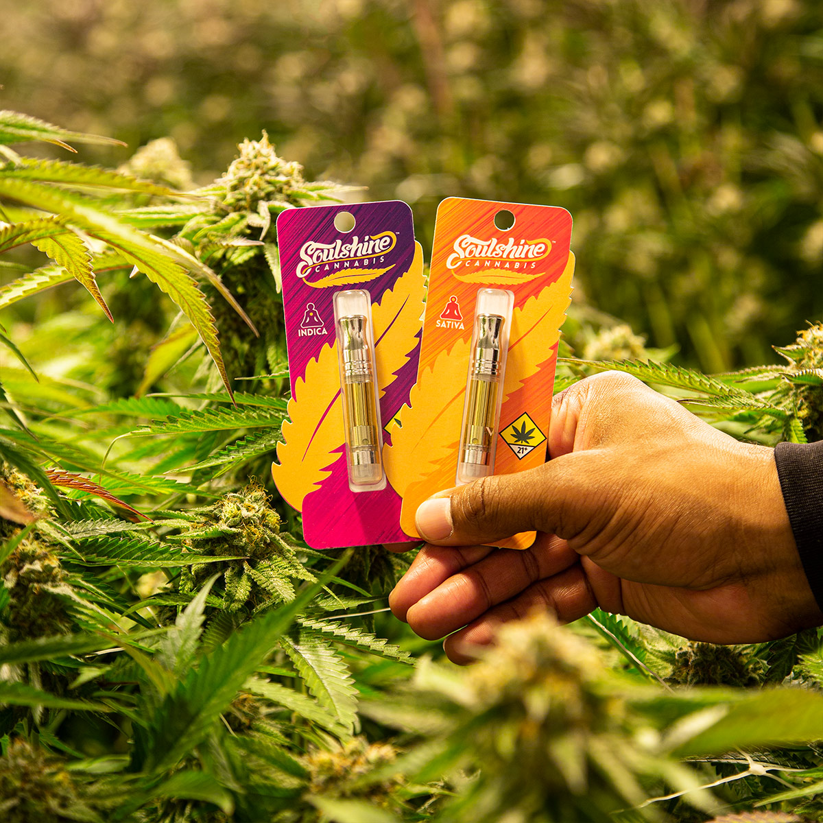 New Live Resin Carts SOULSHINE CANNABIS